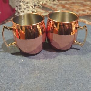 Eco One Silver One International Silver Copper Stainless 4" Tall Set Of 2 Mugs